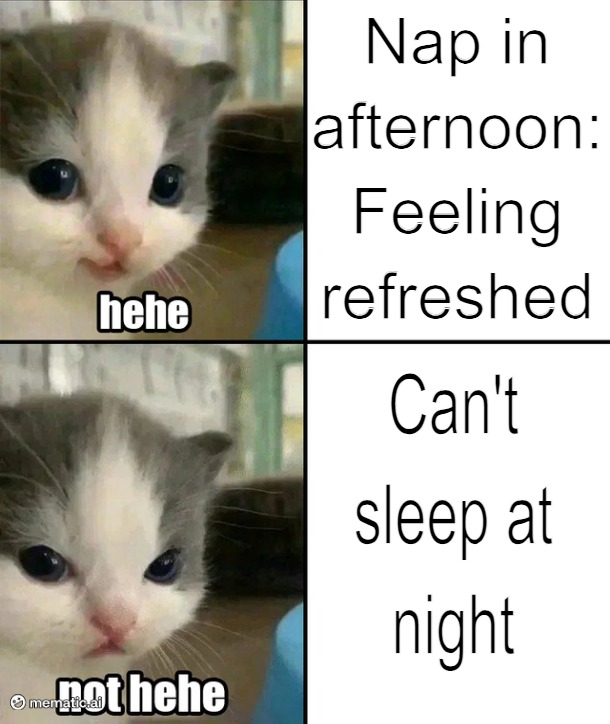 The cycle never ends - meme