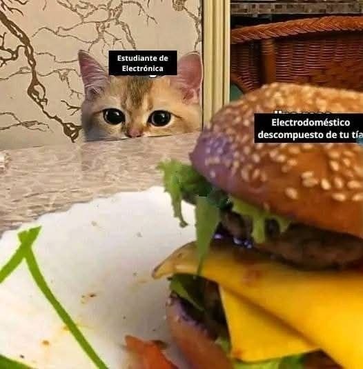 meme de estudiantes de electrónica