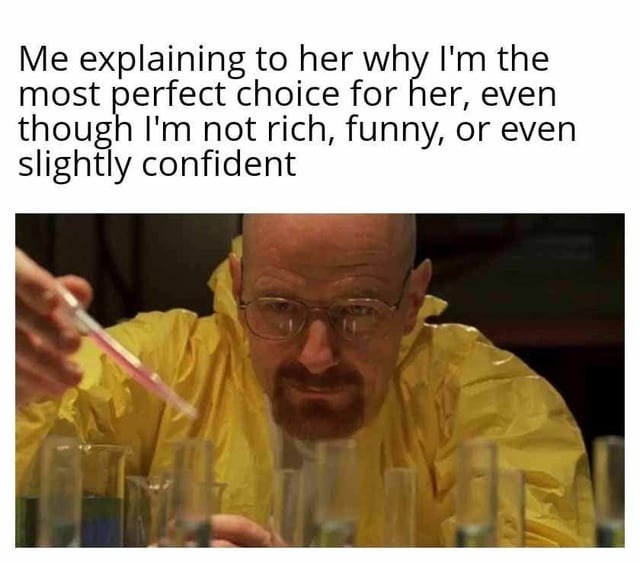 Me pitching myself like a Netflix original with 1 star reviews - meme