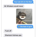 Your cat shit on the floor
