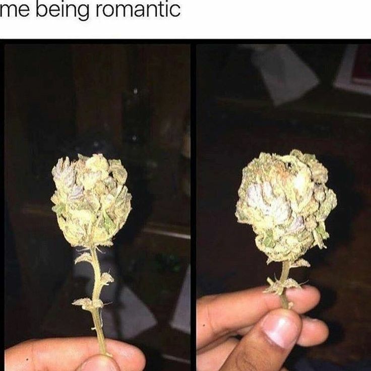 romantic - meme