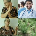 La seño sabe de plantas medicinales