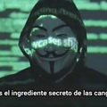 El Anonymous lo sabe :0