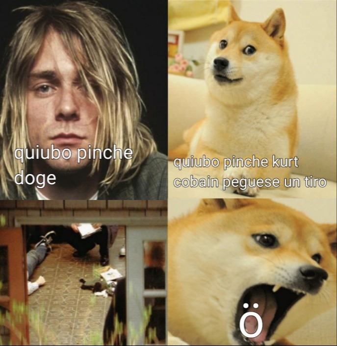 Kurt cobain domado - meme
