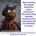 Kermit Rejects Green Agenda