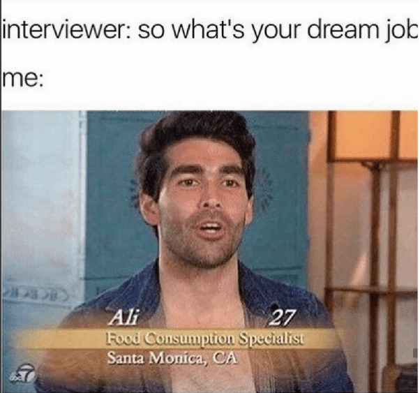 Dongs in a dream job - meme