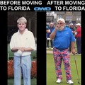 Jon Daly - Florida Man Transformation