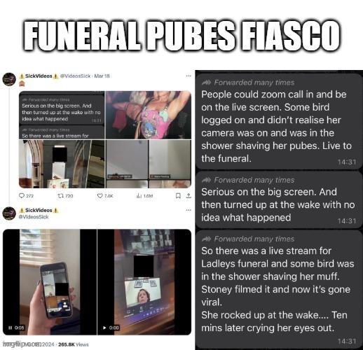 Woman caught saving her pubic hair during a live stream of a funeral getting shown the footage at the wake - meme