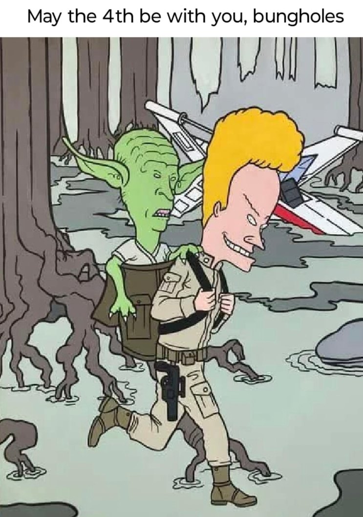 Happy 4th nerds, May the bungholes be with you - meme