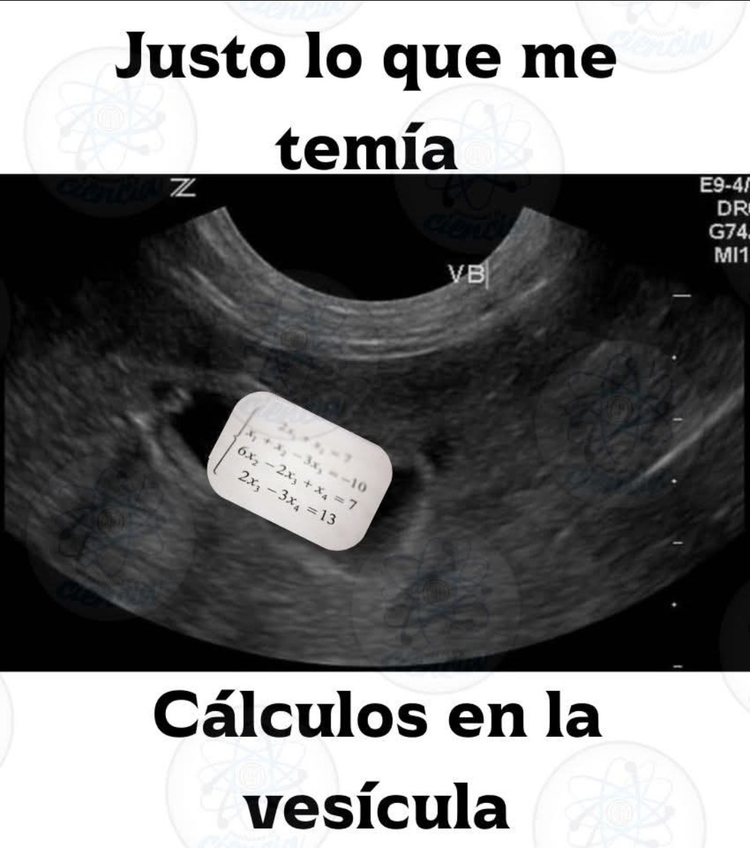 Meme literal