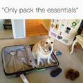 Pupper is essential