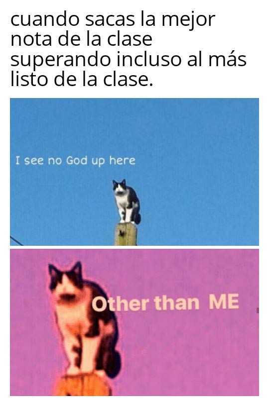 2 meme español
