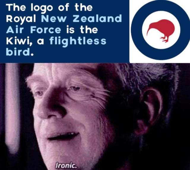 The logo of the Royal New Zealand Air Force is the Kiwi - meme