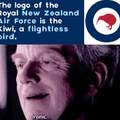 The logo of the Royal New Zealand Air Force is the Kiwi