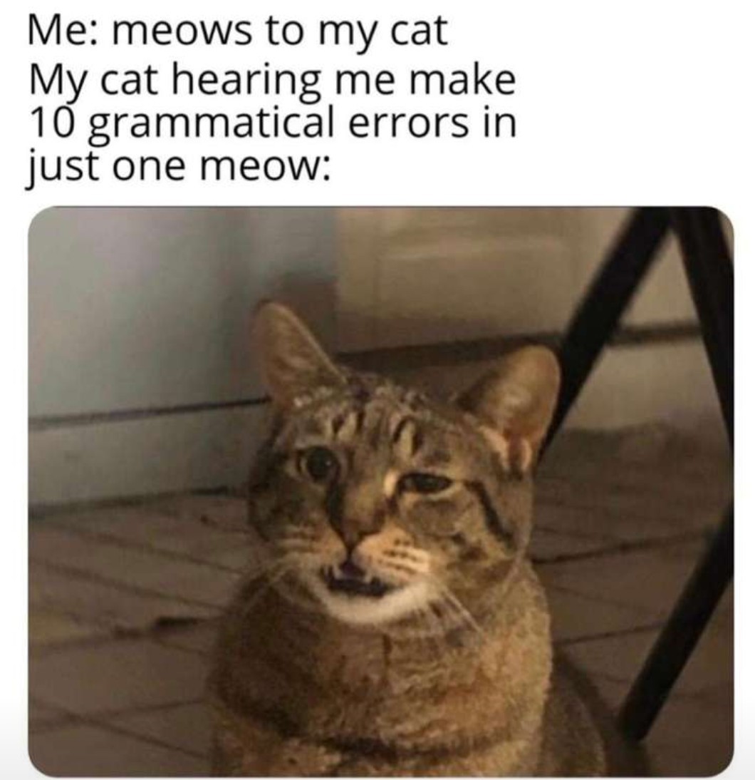 My Cat - meme