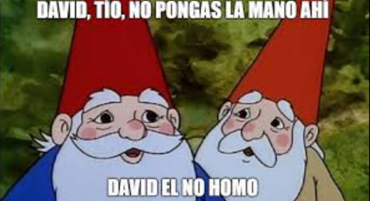 David el no homo - meme