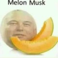 Melón Musk