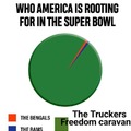 Who America is rooting for in the SuperBowl.
