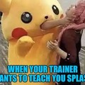 trainers need help