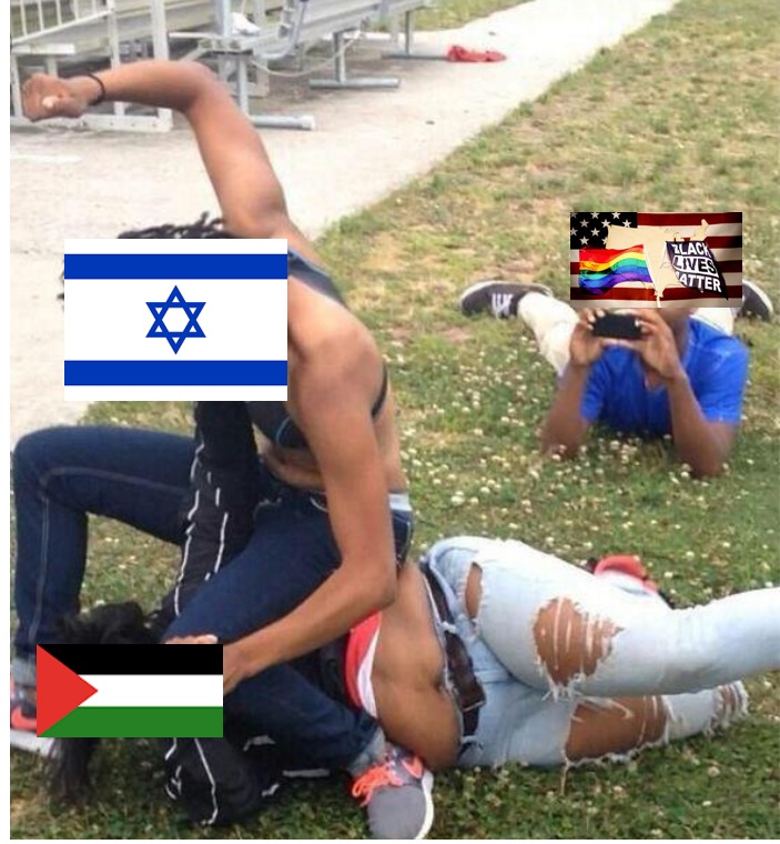 If the woke really wanna aid Palestine, GO TO GAZA! - meme