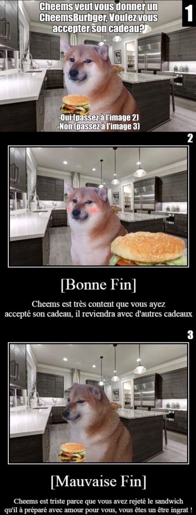petite histoire interactive - meme