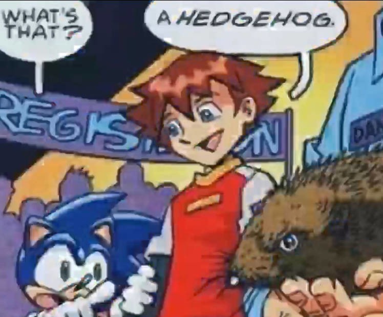Lo mas tranquilo de Sonic Archie - meme