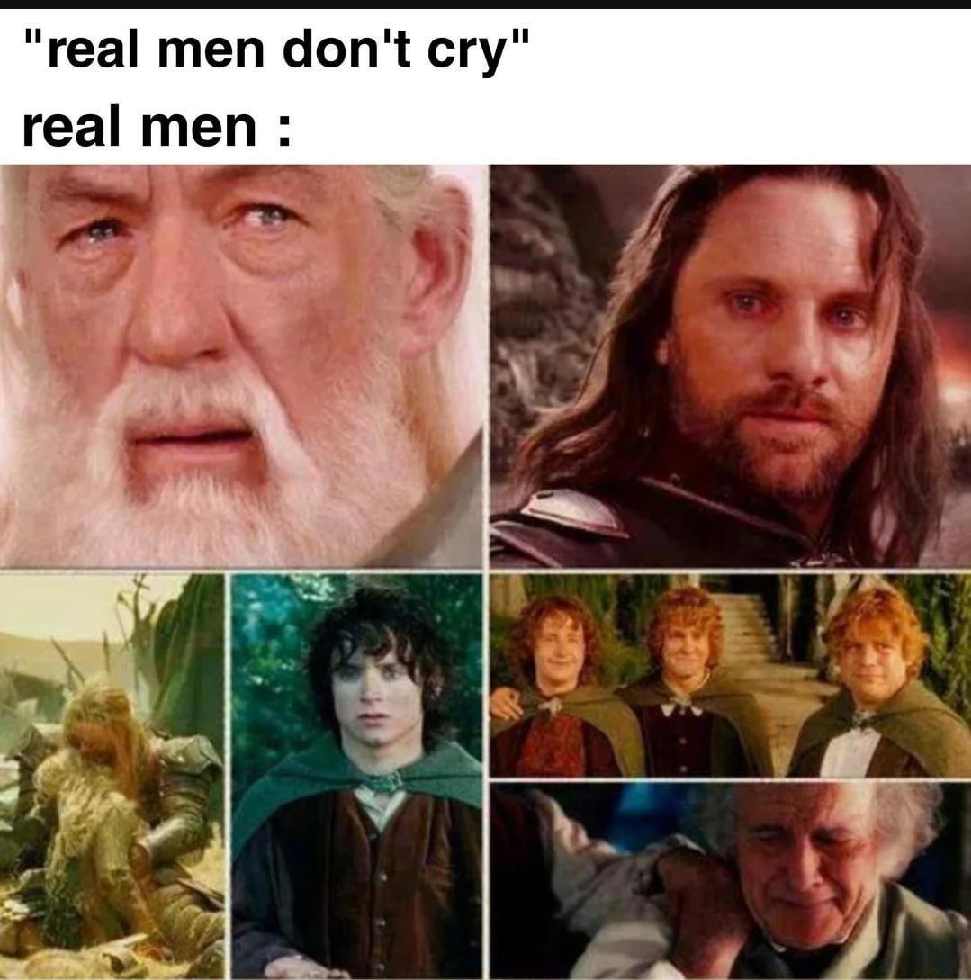 Real men cry at dumb dog videos and anime endings - meme
