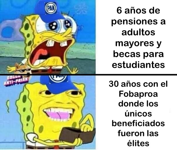 Panistas Promedio - meme