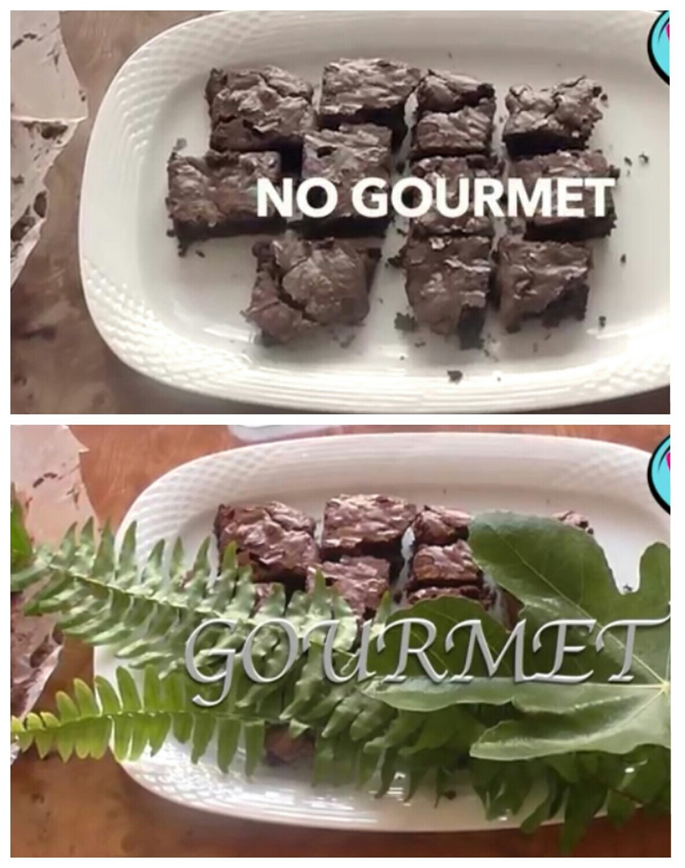 no gourmet/ gourmet - meme