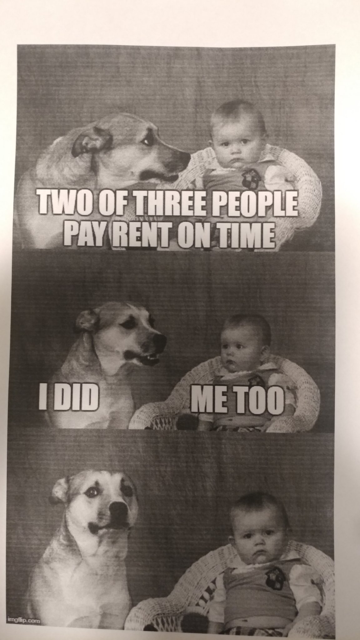 I love getting to use memes in the work place