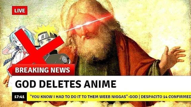 God deletes anime - meme