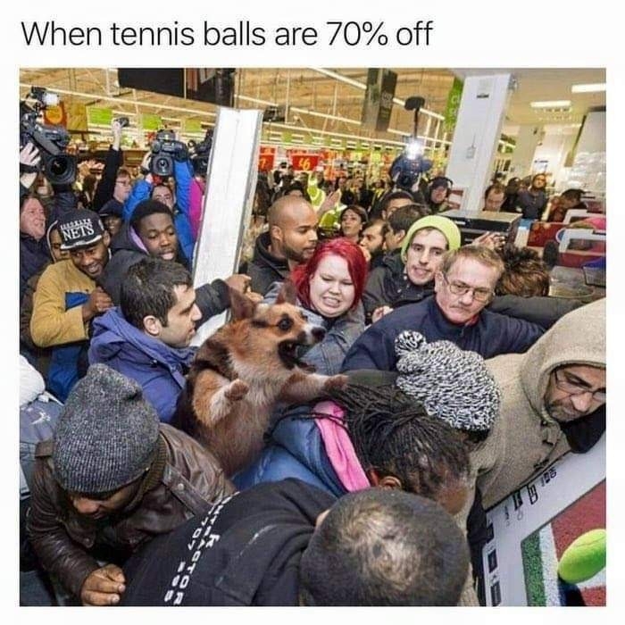 Bit late but ok - meme