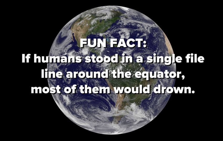 The best Fun Fact memes :) Memedroid
