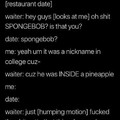 WHOSE DICK'S IN A PINEAPPLE UNDER THE SEA?!