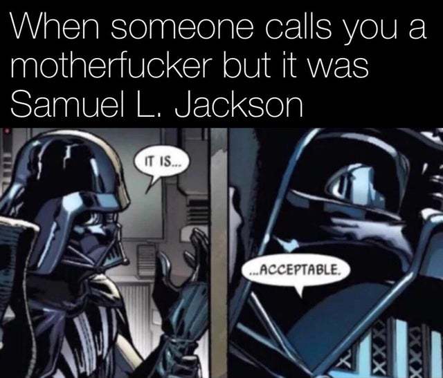 When Samuel L. Jackson calls you a motherfucker - meme
