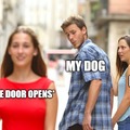 Doge+*door opens = run