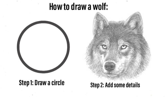 How to draw a wolf - meme