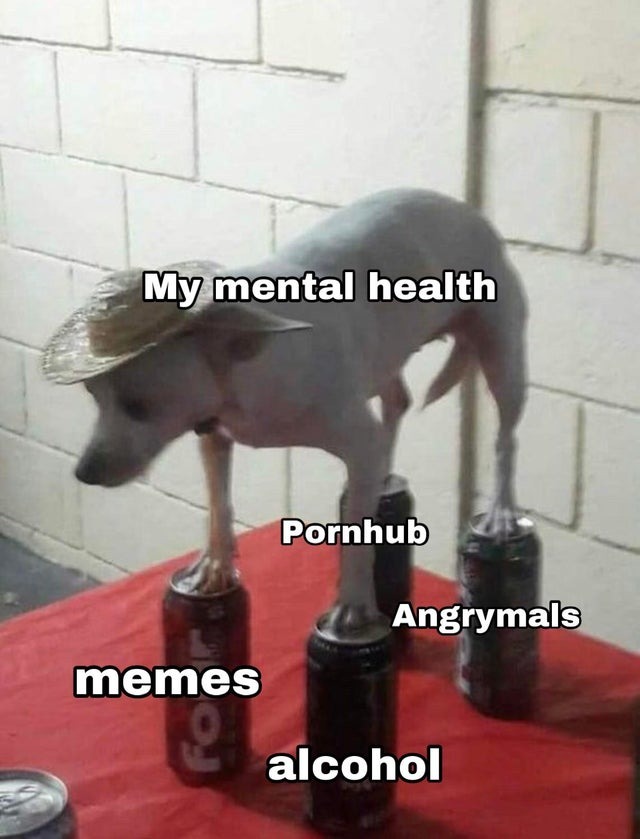 mental health pilars - meme