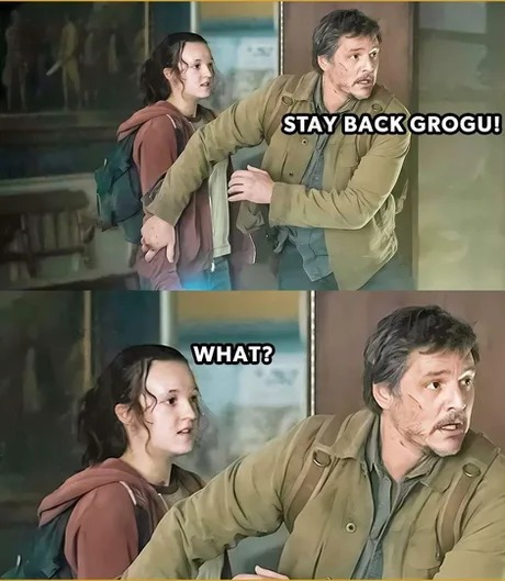 The Last of Us - Meme by Westenriddle :) Memedroid