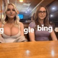 Google vs bing meme