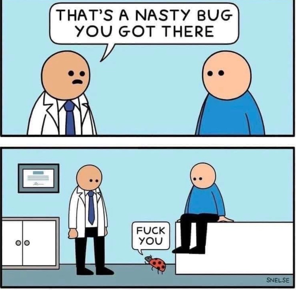 Nasty bug - meme