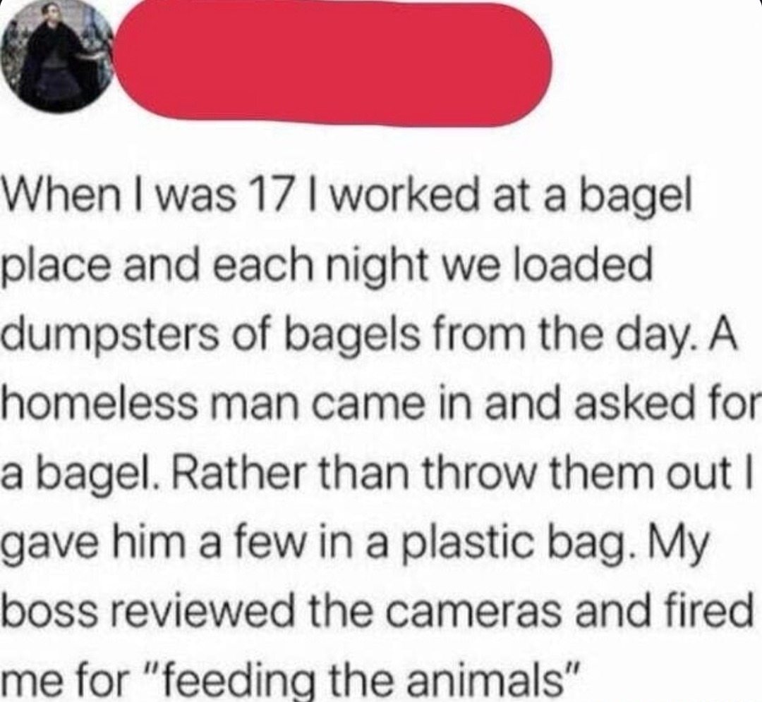 Got fired for giving bagels to a hungry dude… boss said I was feeding the wildlife - meme