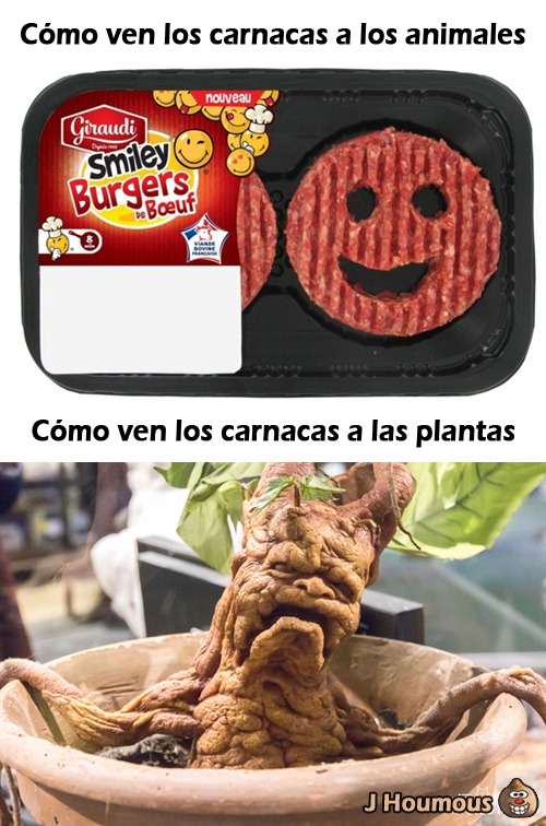 "Pero no quiero ver tus vídeos ... No, pero las plantas también sufren" - meme