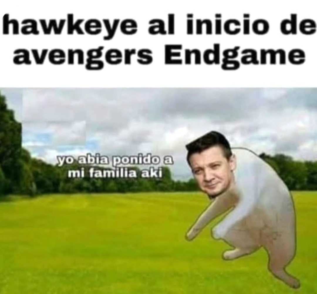 Fornicio - meme