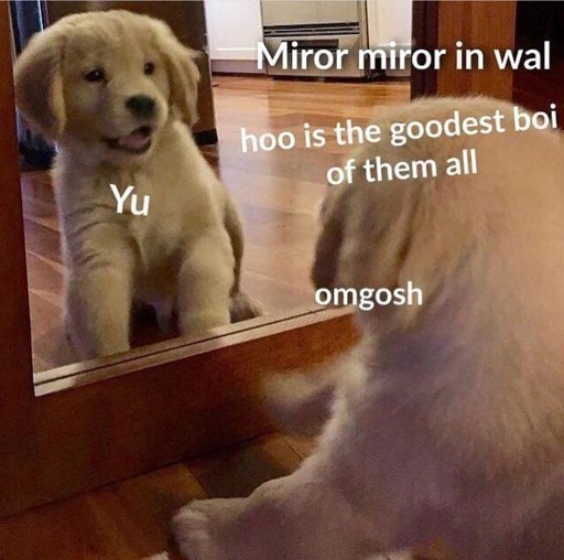 Mirror Mirror... - meme