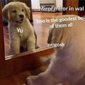 Mirror Mirror...