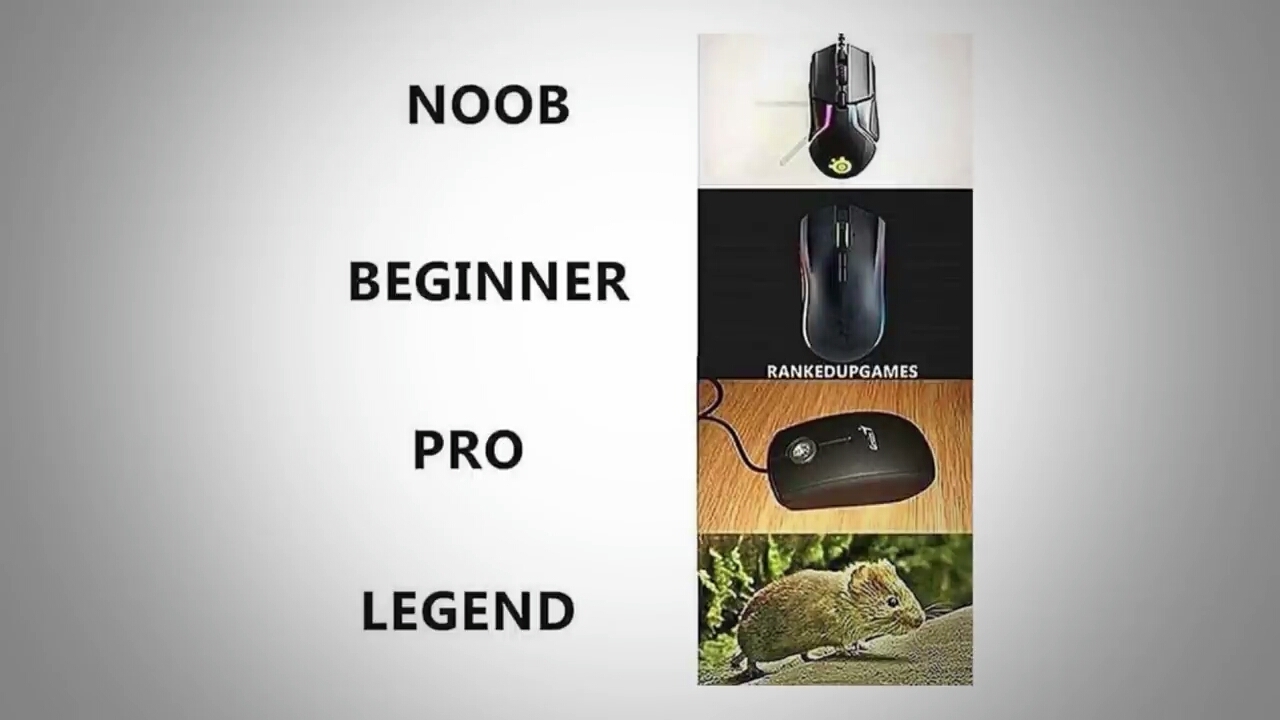 Types of gaming mouse - meme