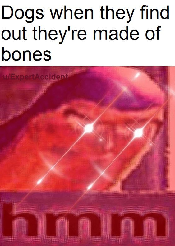 bones - meme