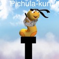 pichula-kun