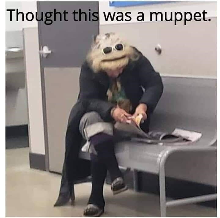 J'ai cru que c'etait un Muppet - meme